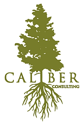 Caliber
          Consulting